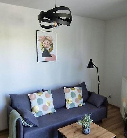 Cosy Apartment W Poblizu Tauron Arena Krakkó Kültér fotó