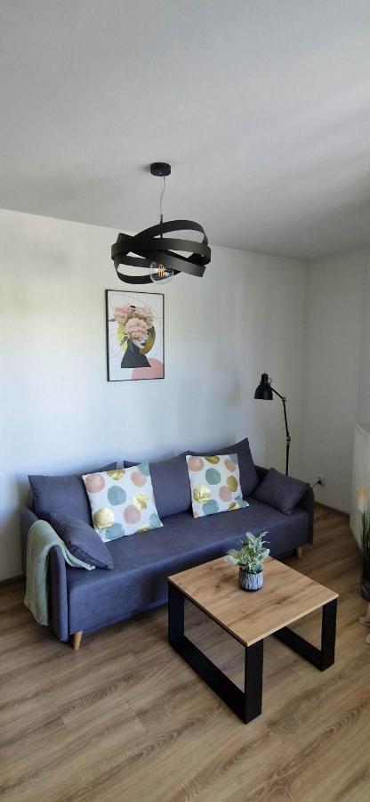Cosy Apartment W Poblizu Tauron Arena Krakkó Kültér fotó