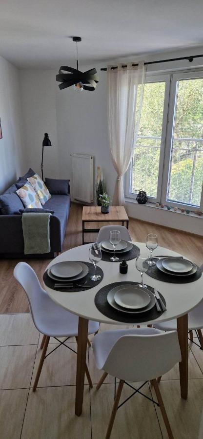 Cosy Apartment W Poblizu Tauron Arena Krakkó Kültér fotó