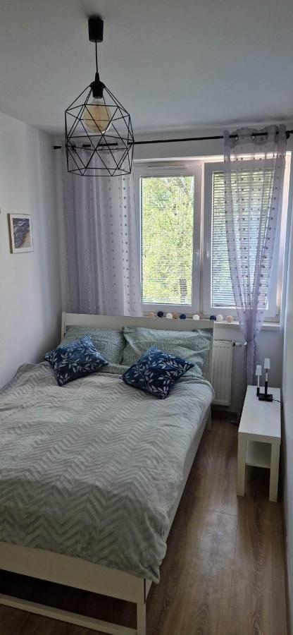 Cosy Apartment W Poblizu Tauron Arena Krakkó Kültér fotó